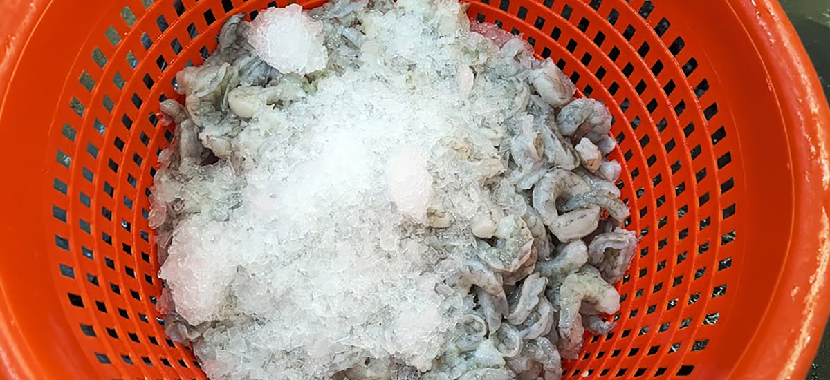 SAAQ_ShrimpBasket_2.75h